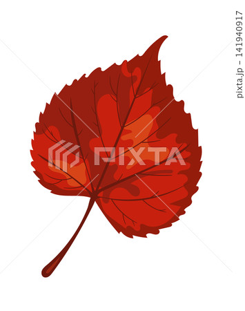 Red autumn leaf in flat vector style with detailed veins and vibrant seasonal colors. Isolated botanical illustration perfect for fall, nature, harvest, and design. Red autumn leaf in flat vector style with detailed veins and vibrant seasonal colors. Isolated botanical illustration perfect for fall, nature, harvest, and design. 141940917