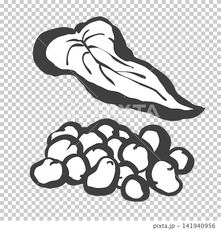 むかごの手描き筆絵風イラスト むかごの手描き筆絵風イラスト 141940956
