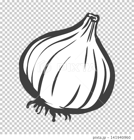 Hand-drawn brushstroke style illustration of an onion Hand-drawn brushstroke style illustration of an onion 141940960