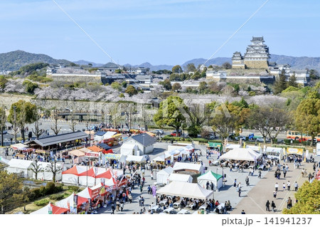 【世界文化遺産】春の姫路城の遠景 【世界文化遺産】春の姫路城の遠景 141941237