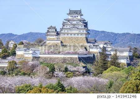 【世界文化遺産】春の姫路城の遠景 【世界文化遺産】春の姫路城の遠景 141941246