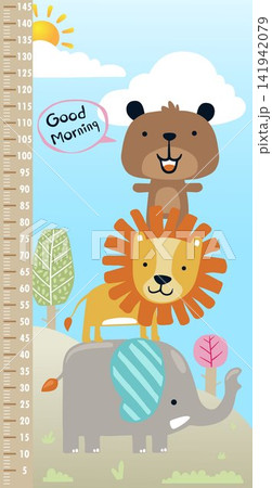 Kids height chart with cute stacked zoo animals illustration Kids height chart with cute stacked zoo animals illustration 141942079