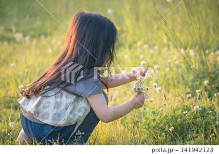 逆光の草原でシロツメクサを摘む女の子|夏の野の花と過ごす自然な子供時代の一コマ 逆光の草原でシロツメクサを摘む女の子|夏の野の花と過ごす自然な子供時代の一コマ 141942128