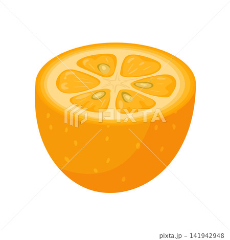 Flat vector illustration of a fresh kumquat half with juicy citrus segments and visible seeds. Bright tropical fruit isolated on a white background for food and design. Flat vector illustration of a fresh kumquat half with juicy citrus segments and visible seeds. Bright tropical fruit isolated on a white background for food and design. 141942948