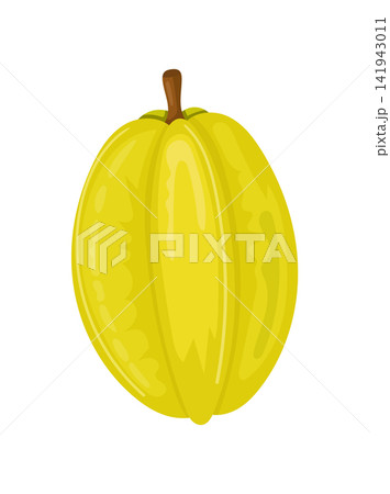 Whole ripe starfruit in flat vector style with glossy yellow skin and tropical appearance. Isolated exotic fruit illustration perfect for food, packaging, menus, and design. Whole ripe starfruit in flat vector style with glossy yellow skin and tropical appearance. Isolated exotic fruit illustration perfect for food, packaging, menus, and design. 141943011