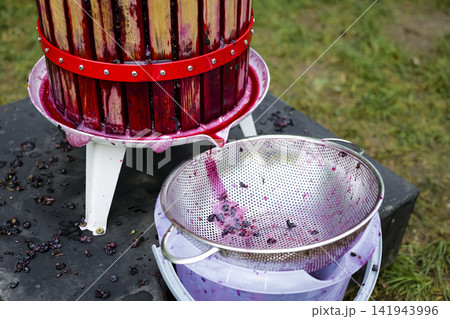 Traditional wine press crushing grapes in a rural garden, illustrating sustainable farming practices in the Austrian wine industry Traditional wine press crushing grapes in a rural garden, illustrating sustainable farming practices in the Austrian wine industry 141943996