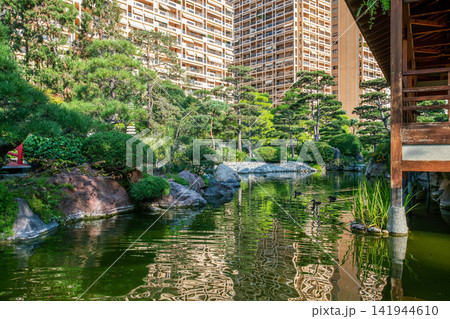 Stone bridge and stone lantern and pond , ducks in Japanese garden in Monaco (next to Monte Carlo district) Stone bridge and stone lantern and pond , ducks in Japanese garden in Monaco (next to Monte Carlo district) 141944610