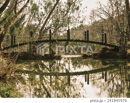 old wooden bridge in the forest 141945978
