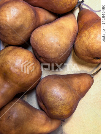 Brown Bosc Pears Arranged in Fresh Produce Display Brown Bosc Pears Arranged in Fresh Produce Display 141946490