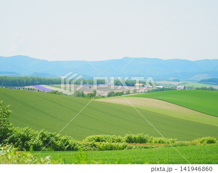 北海道の絶景 初夏の美瑛の丘 北海道の絶景 初夏の美瑛の丘 141946860