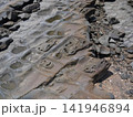 青島　鬼の洗濯板 141946894