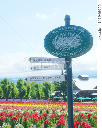 北海道の風景 富良野 ファーム富田 141946999