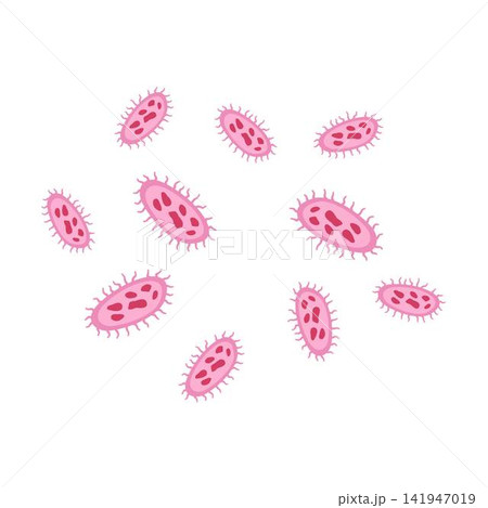 salmonella bacterium icon infection, medical salmonella bacterium icon infection, medical 141947019