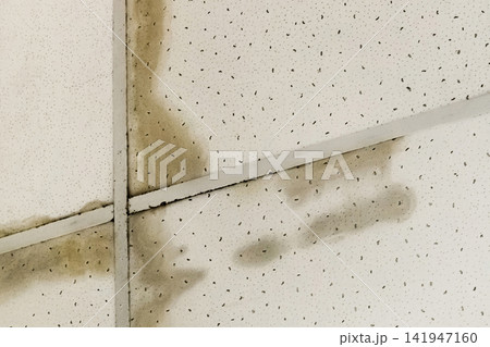 Leaking ceiling old dirty water roof flooding neighbors ceiling repair 141947160
