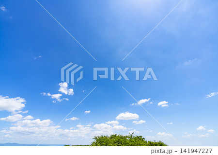 夏の青空と雲と樹木 夏の青空と雲と樹木 141947227