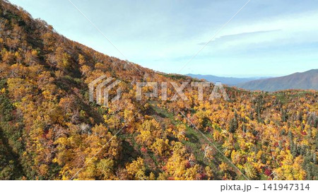 大雪山国立公園の壮大な紅葉斜面│秋の北海道パノラマ 大雪山国立公園の壮大な紅葉斜面│秋の北海道パノラマ 141947314