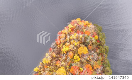秋元湖の波紋と鮮やかな紅葉が美しい俯瞰風景 秋元湖の波紋と鮮やかな紅葉が美しい俯瞰風景 141947340