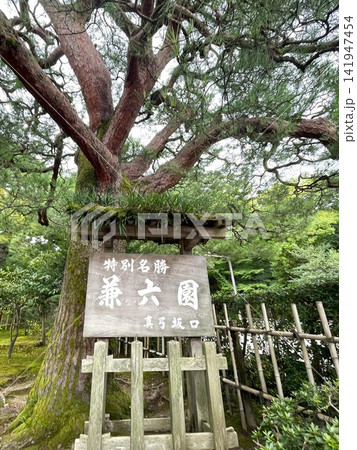 兼六園の真弓坂口の木々と看板2 兼六園の真弓坂口の木々と看板2 141947454