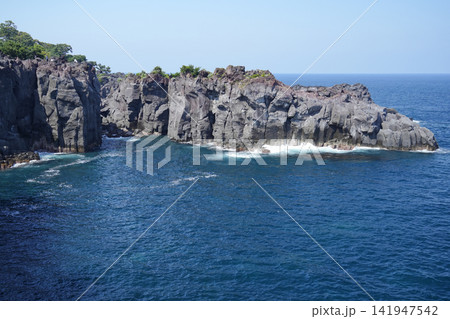 静岡県_伊東市_城ヶ崎海岸 141947542
