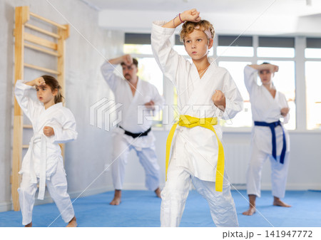 Children with parents during karate training. Martial arts. Sport, active lifestyle concept Children with parents during karate training. Martial arts. Sport, active lifestyle concept 141947772