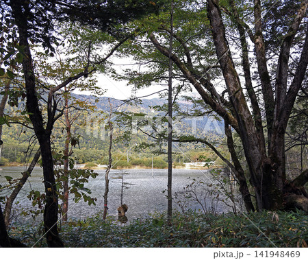 称名の滝　富山県 141948469