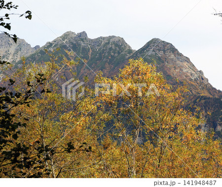 称名の滝　富山県 141948487