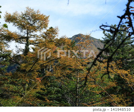 称名の滝 富山県 称名の滝 富山県 141948510