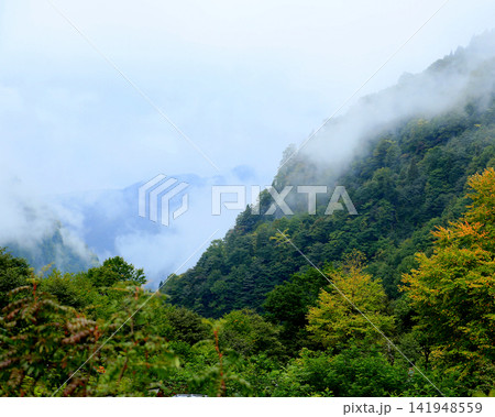 称名の滝 富山県 称名の滝 富山県 141948559