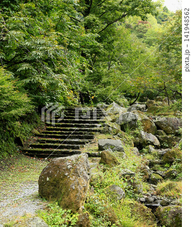 称名の滝 富山県 称名の滝 富山県 141948562