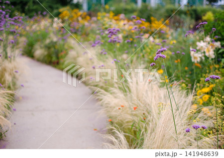 初夏の花々に彩られたあやせローズガーデンの風景 141948639