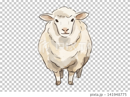 A mouthwatering illustration of a sheep - New Year's card 2027 (Year of the Sheep) 141948775