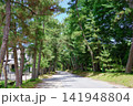 東海道五十三次・御油宿御油の松並木 141948804