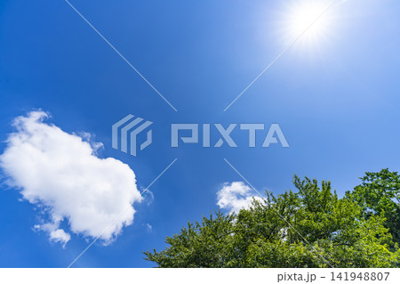夏の青空と雲と樹木 夏の青空と雲と樹木 141948807