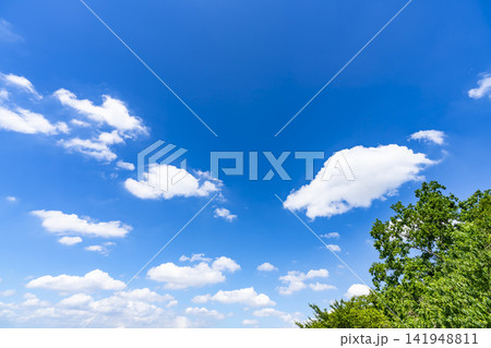 夏の青空と雲と樹木 夏の青空と雲と樹木 141948811
