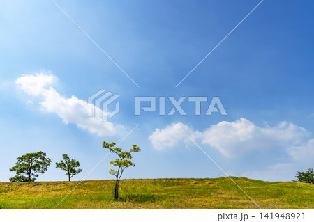 夏の青空と雲と草原 夏の青空と雲と草原 141948921