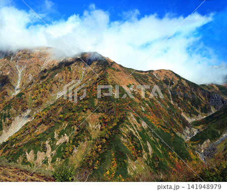 立山 室堂 立山 室堂 141948979