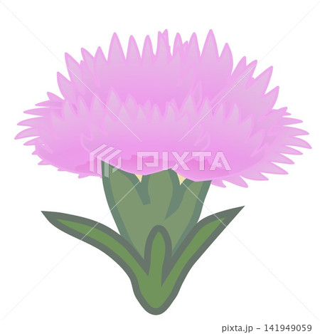 薄いピンクのダイアンサスのイラスト 141949059