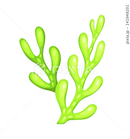 Aquarium water landscape green seaweed plant. Tropical sea aquatic algae leaf, aquarium bottom water isolated vector seaweed. Ocean undersea plant or coral reef life underwater flora Aquarium water landscape green seaweed plant. Tropical sea aquatic algae leaf, aquarium bottom water isolated vector seaweed. Ocean undersea plant or coral reef life underwater flora 141949201