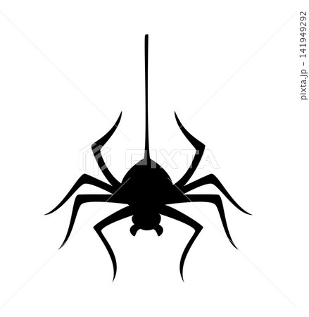 Halloween spooky poisonous spider hanging on cobweb string silhouette. Halloween scary swinging on web string spider, spooky dangerous insect vector. Creepy tarantula or black widow or silhouette Halloween spooky poisonous spider hanging on cobweb string silhouette. Halloween scary swinging on web string spider, spooky dangerous insect vector. Creepy tarantula or black widow or silhouette 141949292