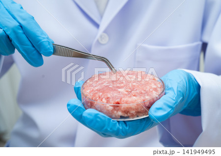 Scientist holding Petri dish with meat in science laboratory for food product development. 141949495