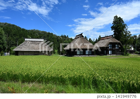 日本の原風景(新潟・荻ノ島環状かやぶき集落) 日本の原風景(新潟・荻ノ島環状かやぶき集落) 141949776