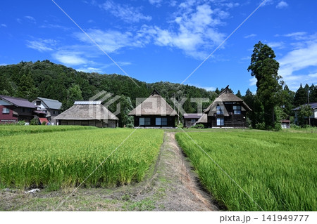 日本の原風景(新潟・荻ノ島環状かやぶき集落) 日本の原風景(新潟・荻ノ島環状かやぶき集落) 141949777