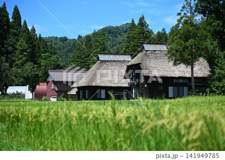 日本の原風景(新潟・荻ノ島環状かやぶき集落) 日本の原風景(新潟・荻ノ島環状かやぶき集落) 141949785