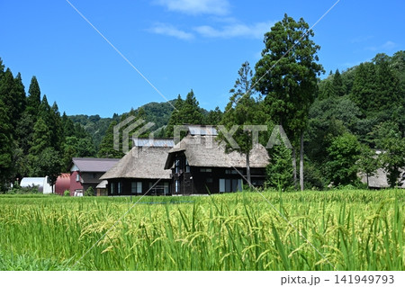 日本の原風景（新潟・荻ノ島環状かやぶき集落） 141949793