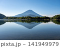 精進湖畔から望む子抱き富士 141949979