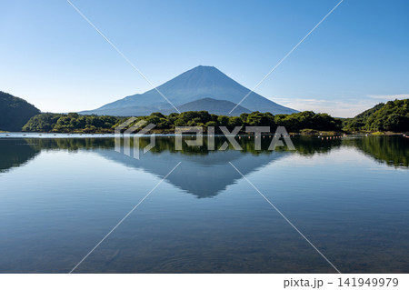 精進湖畔から望む子抱き富士 141949979