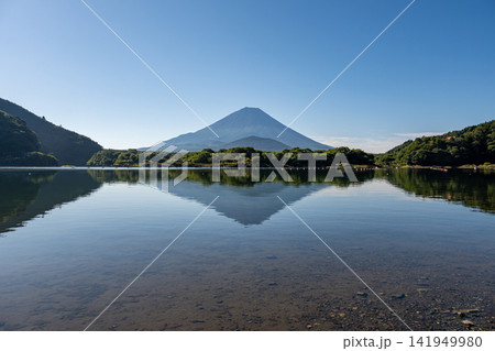 精進湖畔から望む子抱き富士 141949980