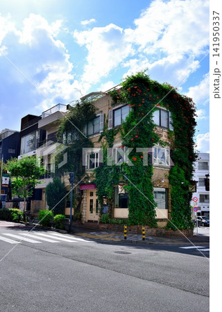 東京渋谷区 松濤文化村ストリート 東京渋谷区 松濤文化村ストリート 141950337