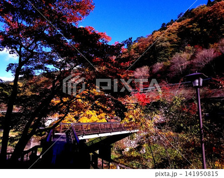 紅葉始まりの岩手大沢温泉の裏手 紅葉始まりの岩手大沢温泉の裏手 141950815