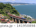 東海道線を走る貨物列車　 141950898